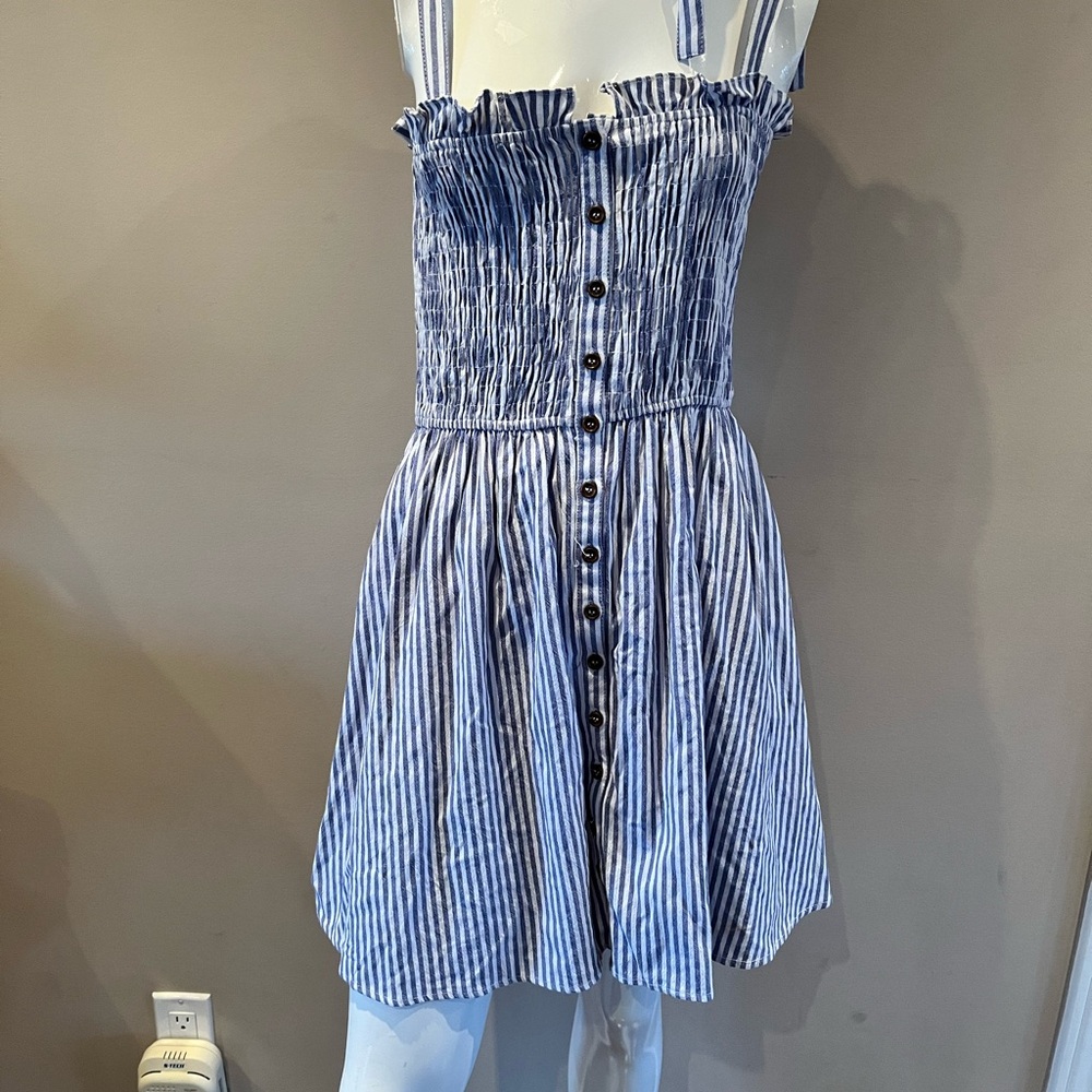 Blue and White Striped Button-Down Dress